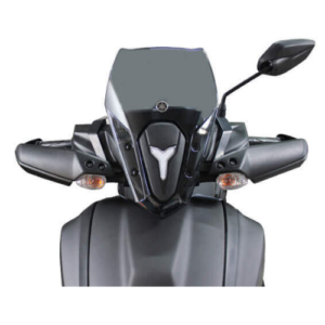 RAYZR VISOR